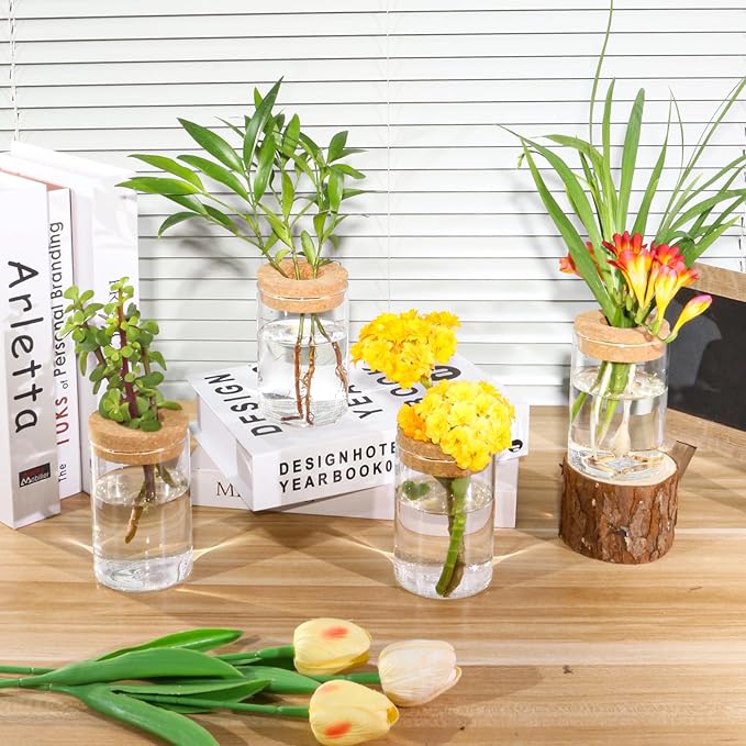 Separated Desktop Glass Flower Vases - Ideal Plants Propagation Stations for Living Room, Bedroom Decoration,Home Decor (2)