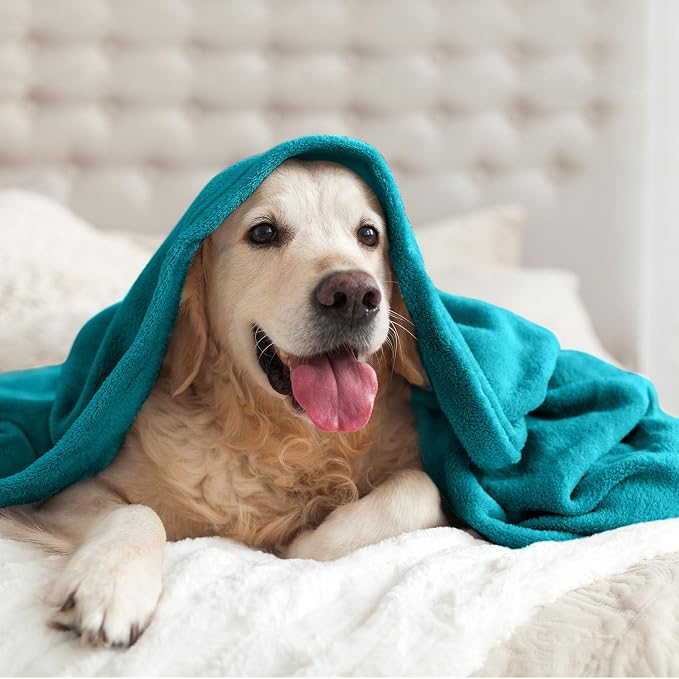 BEDELITE Fleece Blanket Soft Plush Throw for Couch Teal Blue 50"x60" | Ultra Soft Fleece, Plush Microfiber, Lightweight Warmth, All Season Comfort, Fade Resistant, Machine Washable, Couch Sofa Bed