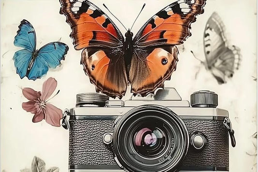 300 Piece Jigsaw Butterfly and Camera|Adult Insect Art|Challenging Fun Activities|Great Gift for Friends
