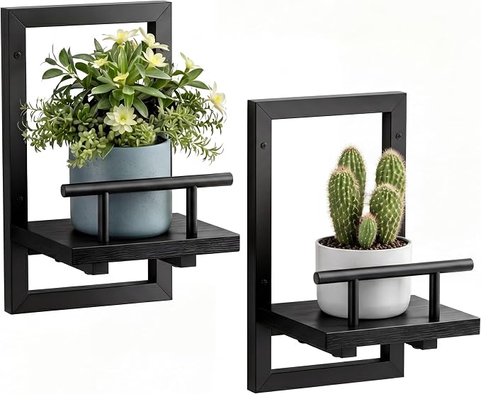 Sbosbo Floating Shelves for Wall Plant Shelf Indoor Wall Mounted Shelves | Wall Planters for Indoor Floating Plant Shelves for Bedroom, Living Room, Kitchen, Office, Bathroom Decor (Black, 2 Pack)