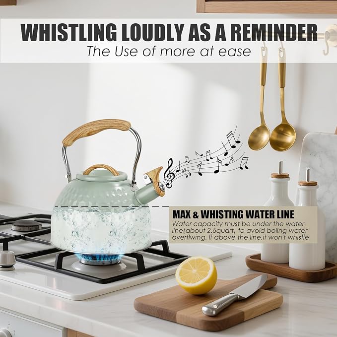 Stainless Steel Whistling Tea Kettle 3 L Tea Kettle Stovetop Teapot Hot Water Kettle w Whistle Spout, Fast Boiling Electric Kettle Stove Top Food Grade Coffee Milk Kettle Pot Folding Handle -Green