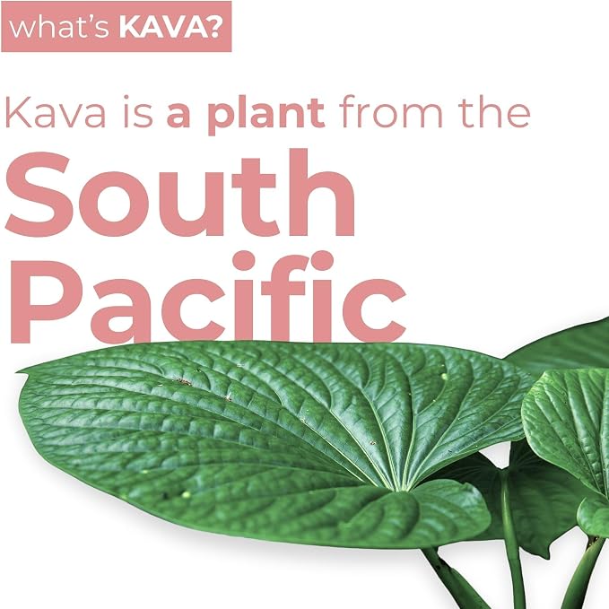Leilo | Kava Powered Sparkling Relaxation Drink | Raspberry Hibiscus - Non-Alc Calming Beverage | 12 fl oz Cans (Pack of 12)