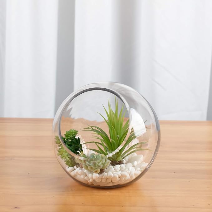 WGV Slant Cut Bowl Glass Vase Bulk, Width 7.5", Height 7.5", Clear Round Globe Planter Terrarium Orb, Candy Dish, Fruit Jar, Floral Container for Home Office Decor, 6 Pieces