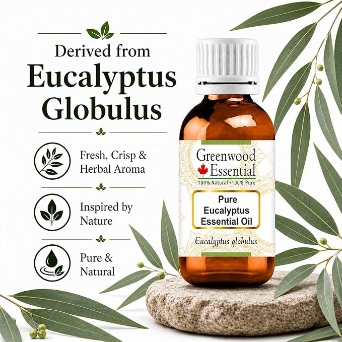 Greenwood Essential Eucalyptus Essential Oil (Eucalyptus globulus) Pure | Non-Sticky | Non-Greasy | Lightweight | Men & Women | All Skin Types | Steam Distilled 30ml (1 oz)