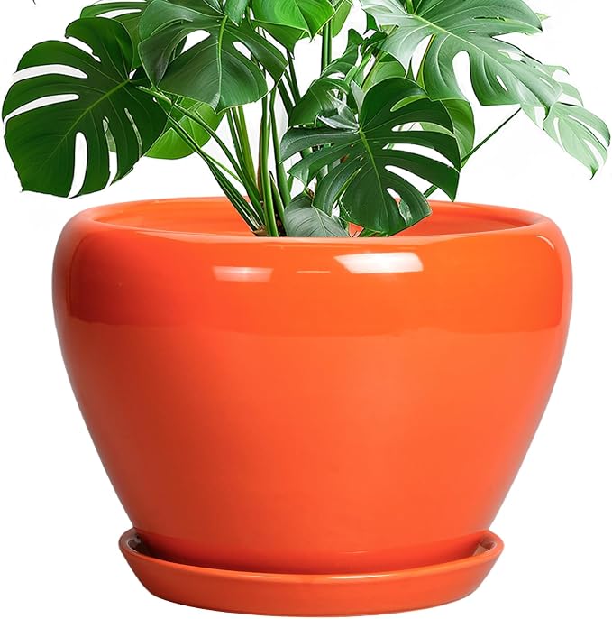 Ceramicfor Ceramic Pot for Plants - 10 Inch Plant Pot with Drainage Hole and Saucer, Modern Round Glaze Planter for Indoor Outdoor Plants, Plant Lover Gifts, Home Garden Office Decor, Orange