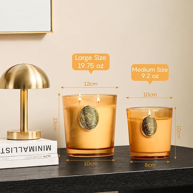 M&SENSE Large Two-Wick Soy Candle | Basil Ginger & Orange | 19.8 oz, 120H Burn Time | Luxury Scented Candle for Relaxation, Gifting, Home Décor | Ideal for Bedroom, Office, Party Ambiance