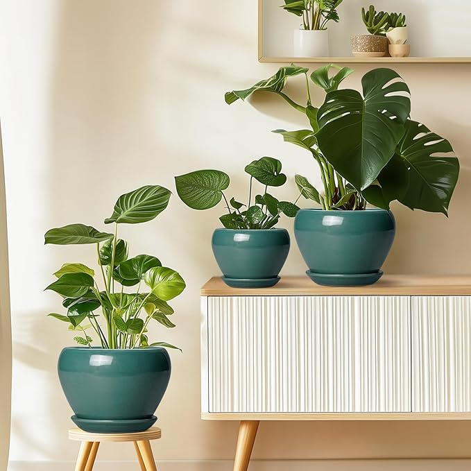 Ceramicfor Ceramic Planter for Indoor Plants 10 Inch - Ceramic Plant Pot with Drainage Hole and Saucer, Glaze Round Modern Decorative Planter, Plant Lover Gifts, Home Room Office Decor, Green