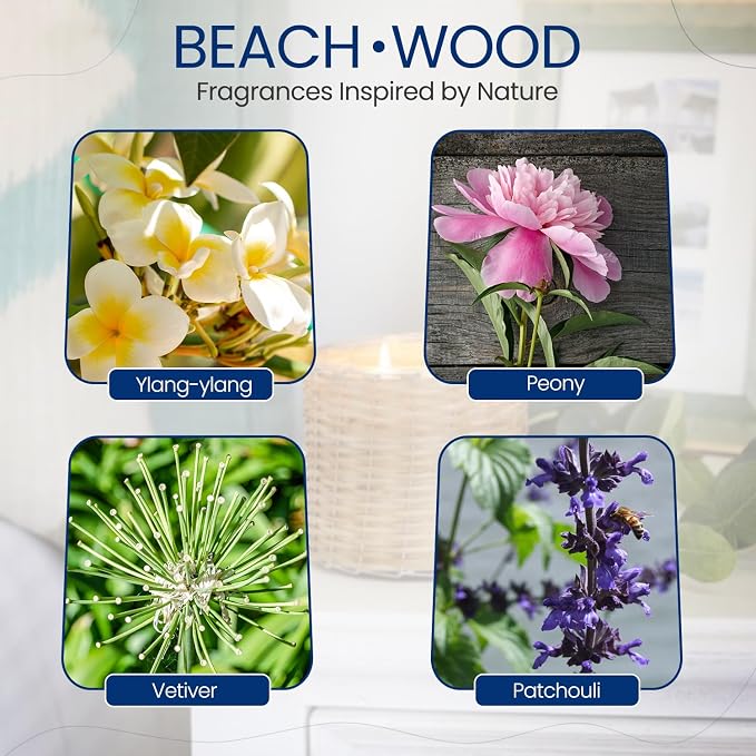 Beach Wood Scented Candle – Luxury 12oz Soy Wax, 2-Wick Handwoven Glass Jar, Peach, Orange Blossom, Saffron, Moss, Amber and Sandalwood – Santal Candle, 75+ Hour Clean Burn, USA Made