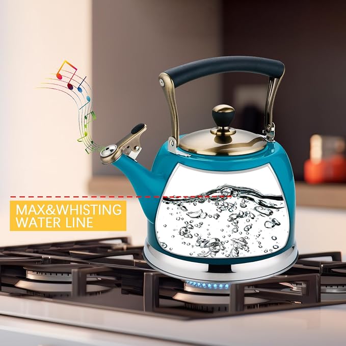 Tea Kettle Stainless Steel Teapot, Stainless Steel Teakettle for Stove Top with Heat Proof Ergonomic Handle 3.0 Quart