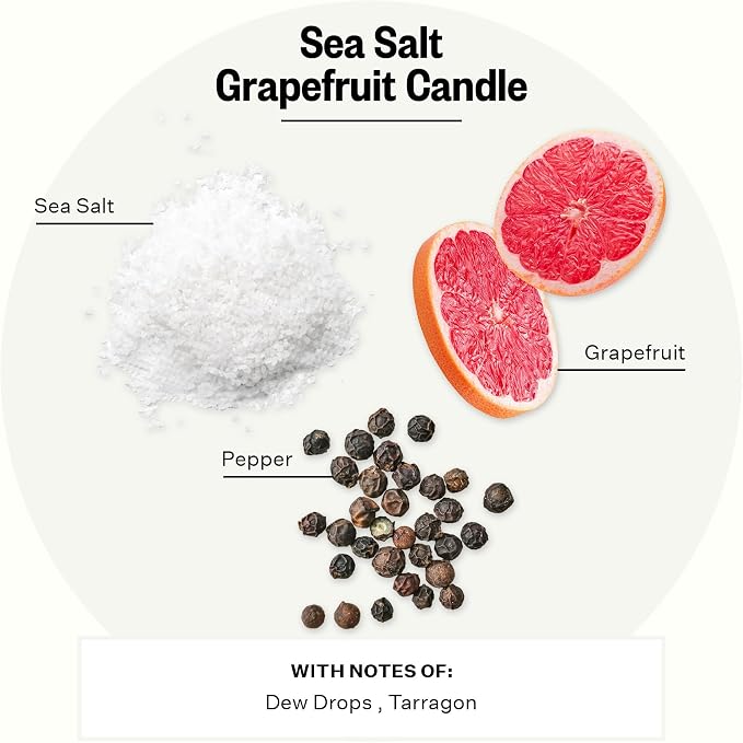 Apotheke 3-Wick Scented Candles for Home, Sea Salt Grapefruit - 26 oz Soy Wax Jar Candle Gift for Women - Long-Lasting Fragrance with Perfume-Grade Essential Oils - Pepper, Dew Drops & Tarragon
