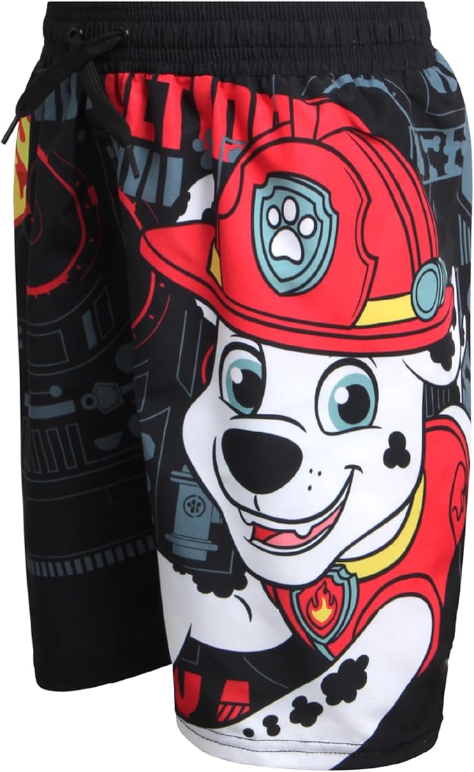 Nickelodeon Boys Swim Trunks - Paw Patrol TMNT Quick Dry Graphic Boys Swim Shorts for Toddler and Little Boy