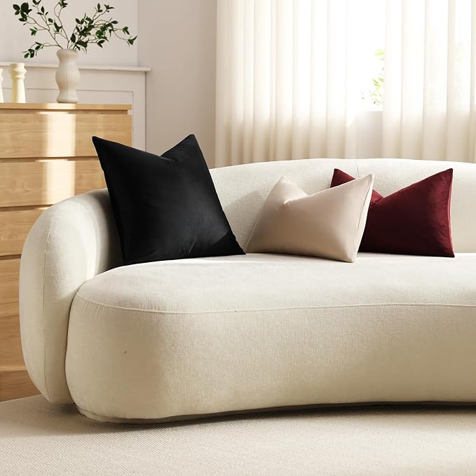 Throw Pillow Covers 18x18 Black: Pack of 2 Cozy Soft Velvet Square Modern Luxury Decorative Throw Pillow Cases for Sofa Couch Living Room Bed Home Decor