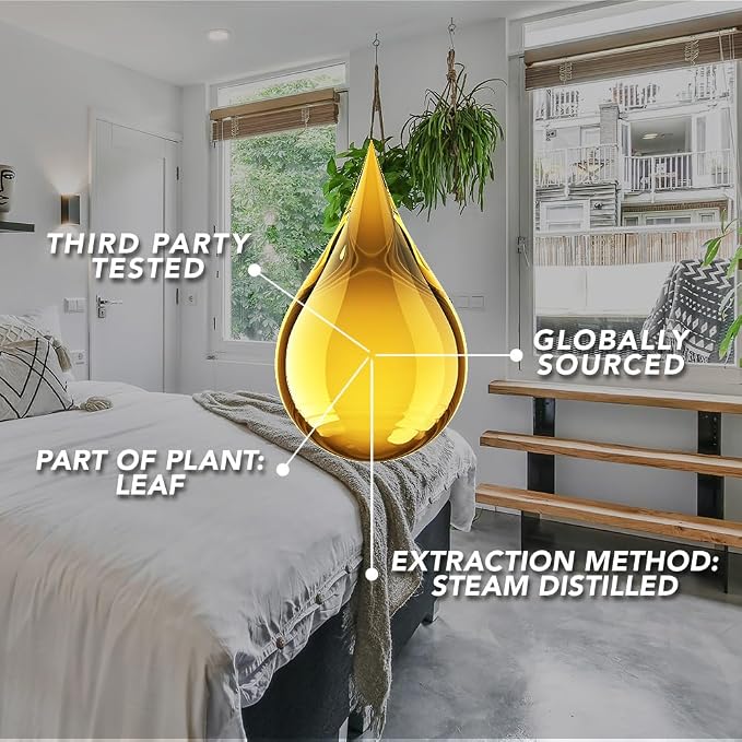 SpaRoom Aromatherapy 100% Pure Undiluted Essential Oil, Invigorate Eucalyptus, 10 mL