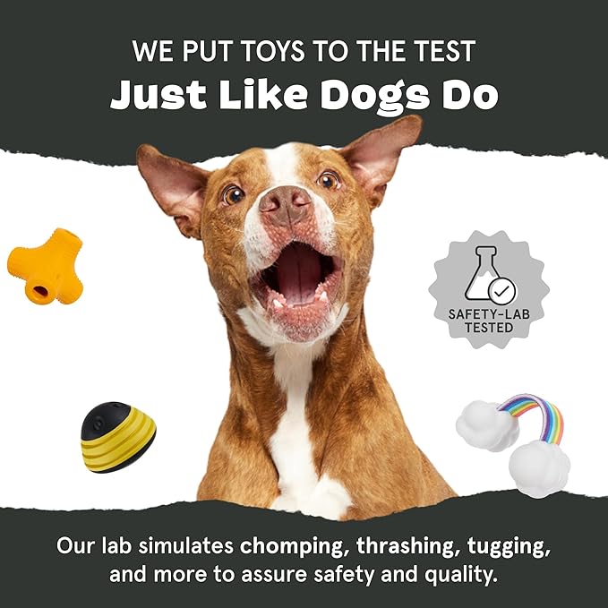 Barkbox Super Chewer Tough Dog Chew Toys for Aggressive Chewers, Plush 2 Toys in 1 (Drop The Bass - Small)