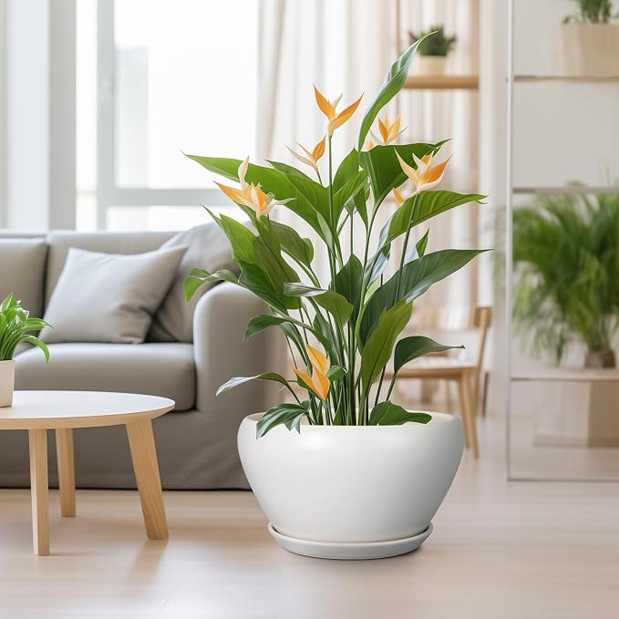 Ceramicfor Planter for Indoor Plants 13 Inch - Ceramic Plant Pot with Drainage Hole and Saucer Decorative Round Large Planter Pot for Plants Outdoor Flower Pot for Room Decor White