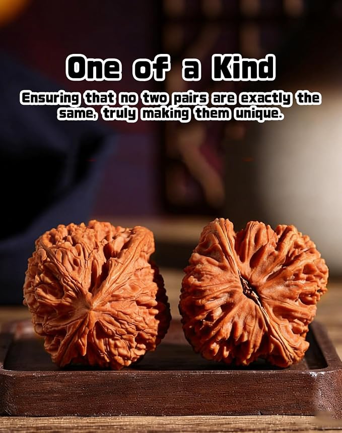 Jade Walnuts - 2026 Chinese Wenwan Walnut, Polishing Walnuts Fidget with Storage Box, Hand-Polished Natural Walnut Stress Relievers, For Meditation, Focus, And Collectors (Lion Head A, 1.42-1.46in)
