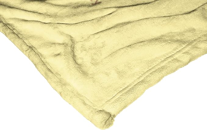 Northwest Disney 100 Silk Touch Throw Blanket, 50" x 60", Celebration Snow White