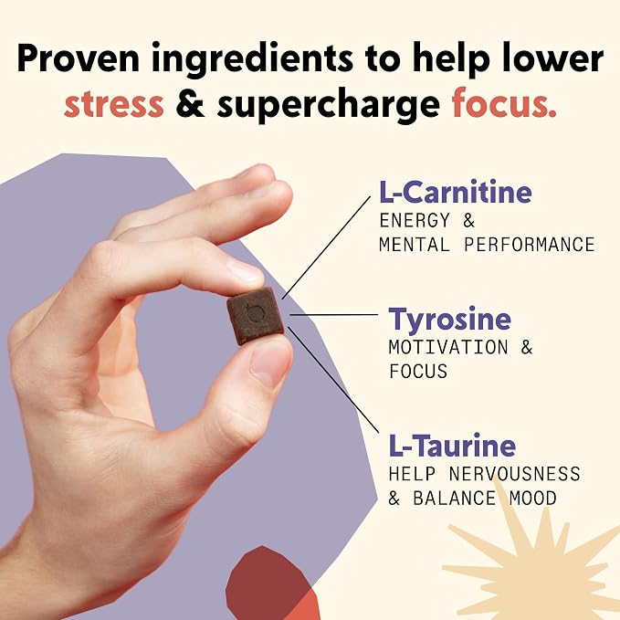 PYM Mood & Focus Chews Variety Pack, 60 Count | Berry & Citrus Mood Chews + Attention Chews | GABA, L-Theanine, L-Carnitine | Vegan, Non-GMO, Caffeine-Free