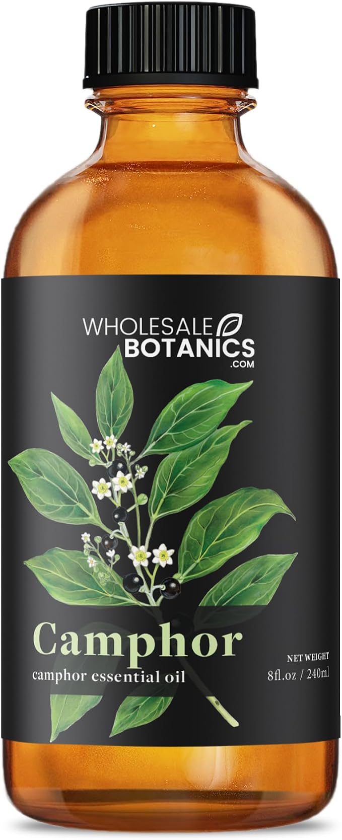 Camphor Essential Oil by Wholesale Botanics | Premium Grade 100% Pure Essential Oil | for Aromatherapy, Soaps, Lotions, & Candles | Vegan & Cruelty Free (8 Fl. Oz.)