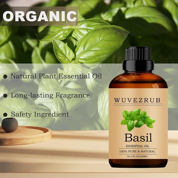 Basil Essential Oils, 120ML Pure and Natural Essential Oil for Aromatherapy Diffuser - Basil /4 Fl Oz