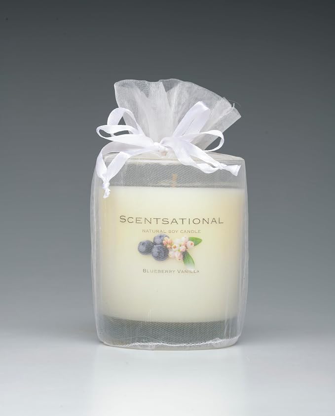 Scentsational Natural Candle, Blueberry Vanilla Scent, 11 oz, Gift Wrapped
