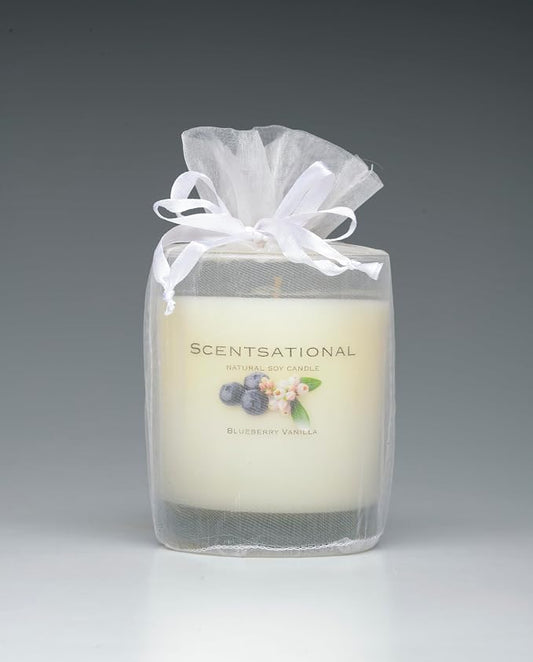 Scentsational Natural Candle, Blueberry Vanilla Scent, 11 oz, Gift Wrapped