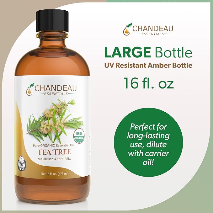 100% Pure Organic Essential Oil, Pure Tea Tree Essential Oil for Aromatherapy, Soap Making, Candles, Laundry, Perfume, Cleaners or Diffusers - Large Amber Glass Bottle, 16 oz.