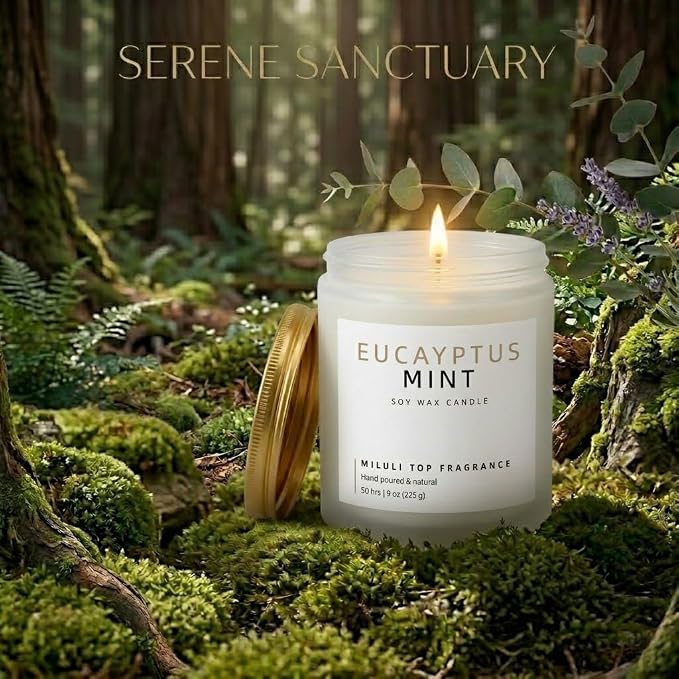 Eucalyptus Mint Scented Candles for Home - 15% Essential Oil Luxury Aromatherapy - Handmade Natural Soy Wax Candle for Women Men Relaxation - 9oz Frosted White Jar,50H Clean & Non-Toxic Burn