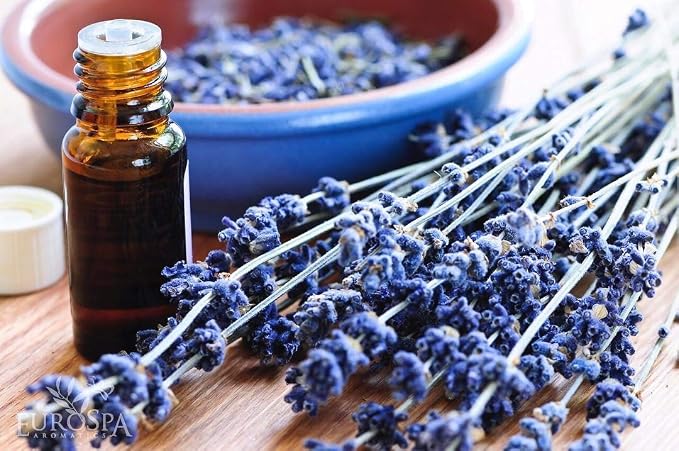 EuroSpa Aromatics Pure Eucalyptus Oil ShowerMist and Steam Room Spray, All-Natural Premium Aromatherapy Essential Oils - Lavender Infused, 8oz, 2 Pack
