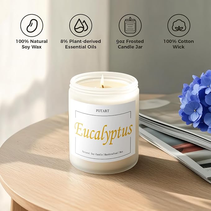 Eucalyptus Mint Highly Scented Candles, Natural Soy Aromatherapy Organic Non Toxic Candles with Long Lasting Burn, Luxury Essential Fragrance Jar Candle Gift for Birthday, Housewarming (9oz)