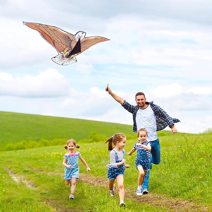 Kites for Kids and Adults, Easy to Fly for Beach, Single Line Kite Set for Beginners