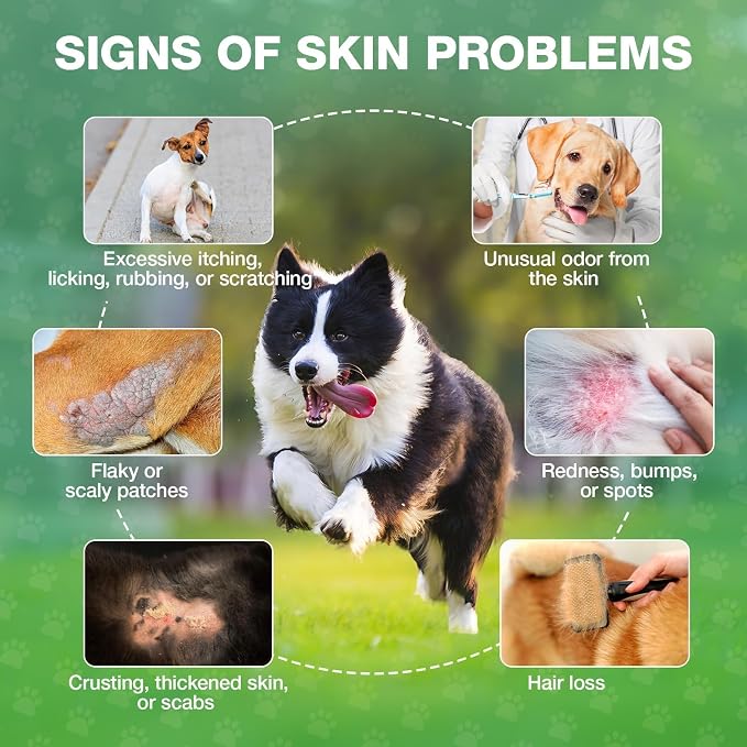 Yeast Infection Treatment for Dogs,Dog Ear Infection Treatment,Itchy Ear,Skin,Paws&Relief-Reduces Inflammation&Relieves Irritation,Dog Supplement Drops with Multivitamins Probiotics,60ml(1 Pack)