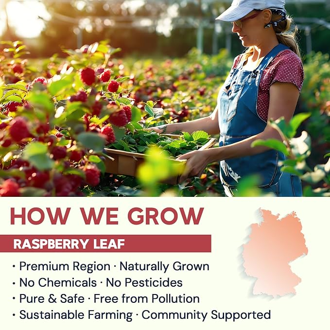 Raspberry Leaf Tea - 40 Teabags, Naturally Caffeine-Free, Mild & Herbal Taste