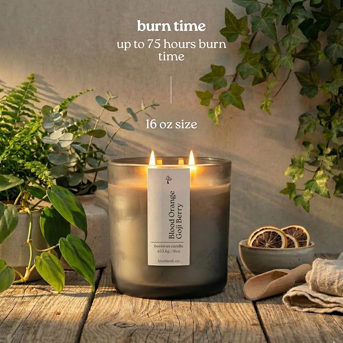 Aspen & Oak Luxury Beeswax Candle 16oz - Long Burning Pure Beeswax Candles, Non Toxic, Natural, Clean, Essential Oil Scented Organic Candles, Home Decor & Gifts - Blood Orange Goji Berry