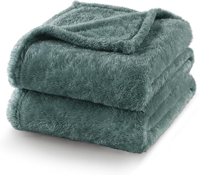 Exclusivo Mezcla Fuzzy Plush Fleece Bed Blanket King Size, Celadon | 104x90 Inches, Super Soft and Cozy Bed Blanket, Fluffy Decorative Bedding for Livingroom, Bedroom, All Season
