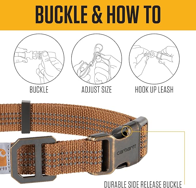 Carhartt Fully Adjustable Nylon Webbing Collars for Dogs, Reflective Stitching for Visibility, Hunter Orange (Nylon Webbing), Medium
