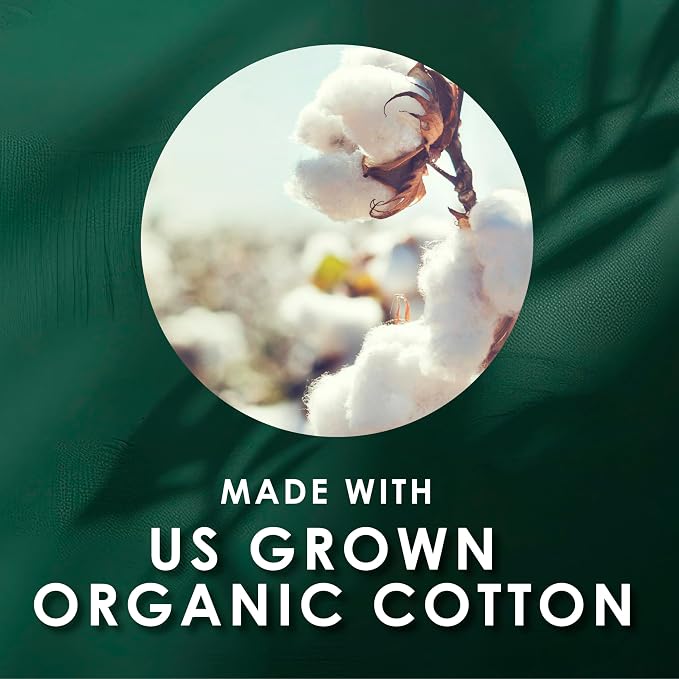 L. Cotton Tampons Light/Regular Absorbency Multipack, Contains an Organic Cotton Core, Made Without Synthetic Pesticides, or Fragrances, 84 Count (Pack of 2)
