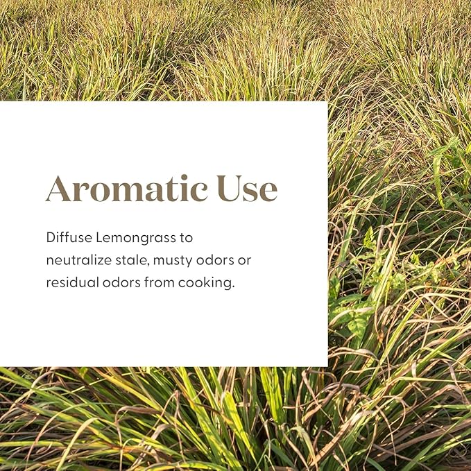 Lemongrass Essential Oil by Young Living, 15 Milliliters, Topical and Aromatic