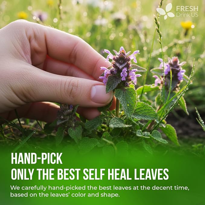 FreshDrinkUS, Premium Self Heal Leaves Tea | 40 Tea Bags | Premium Dried Self Heal Herb for Herbal Tea – Naturally Caffeine-Free, Clean & Convenient Tea Bags. Sugar-Free. Vegan