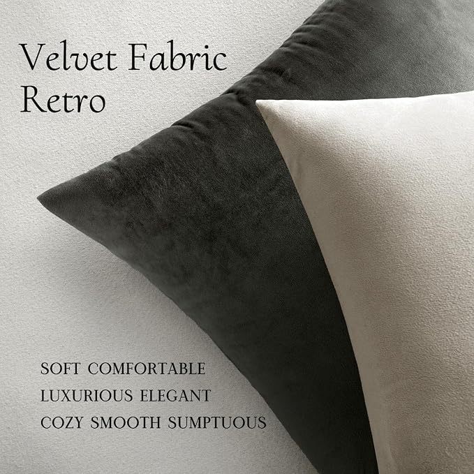 MIULEE Velvet Throw Pillow Covers 16x16 Inch Pack of 2 Cream White | Soft Solid Small Decorative Pillow Covers, Modern Luxury Home Decor, for Couch Chair Sofa Bedroom Livingroom Car