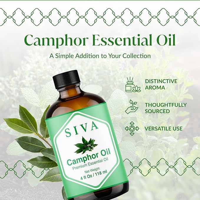 Siva Camphor Essential Oil 4 Fl Oz – for Diffuser, Skin & Hair Care – Ideal for Massage & DIY Blends- with Dropper