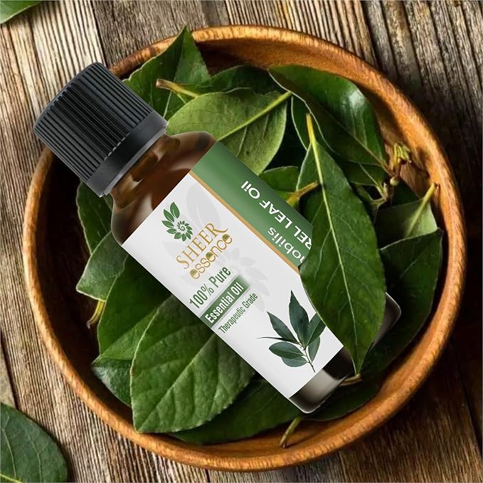 Bay Laurel Leaf Oil- (Laurus Nobilis)- Essential Oil 100% Pure Natural Undiluted Uncut Therapeutic Grade Oil 1.01 Fl.Oz