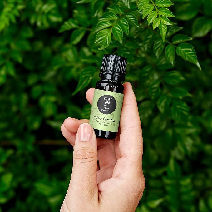 Edens Garden Celery Seed Essential Oil- 100% Pure Premium Grade, Undiluted, Natural, Therapeutic, Aromatherapy, The Best for Diffuser, Skin, Candle, Laundry 30 ml (1 fl oz)