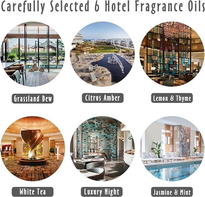 Hotel Fragrance Oils, MitFlor Diffuser Oil Scents for Home, Office, Fragrance Oil for Candle Soap Making, Aromatherapy Essential Oils - 6x10ml, Lemon & Thyme, Luxury Night, White Tea and More