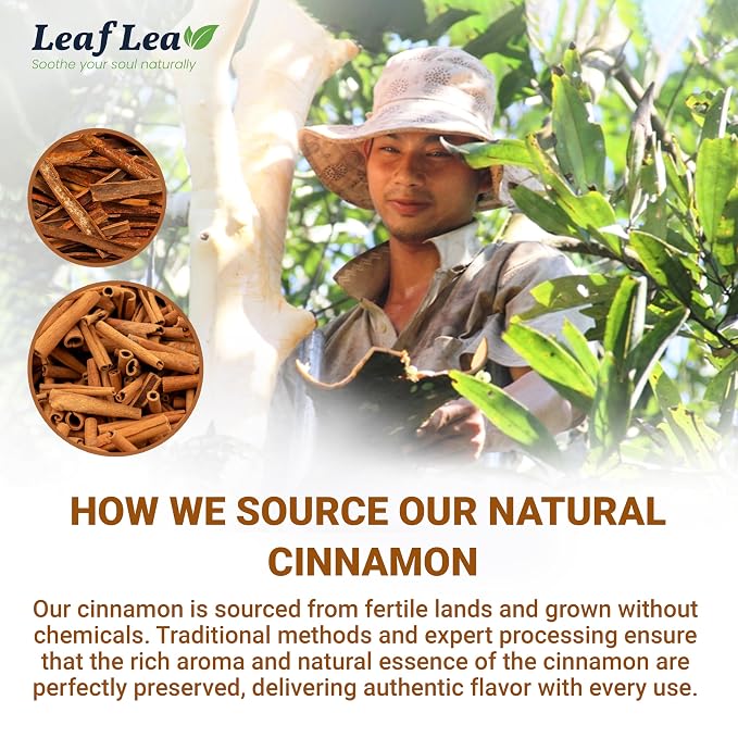 LeafLea Pure Cinnamon Tea Bags, Naturally Sweet, Caffeine-Free, 40 Count | Single-Ingredient Ground Cinnamon, No Added Sugar, Individually Foil-Wrapped For Fresh Aroma, Vegan, Non-GMO