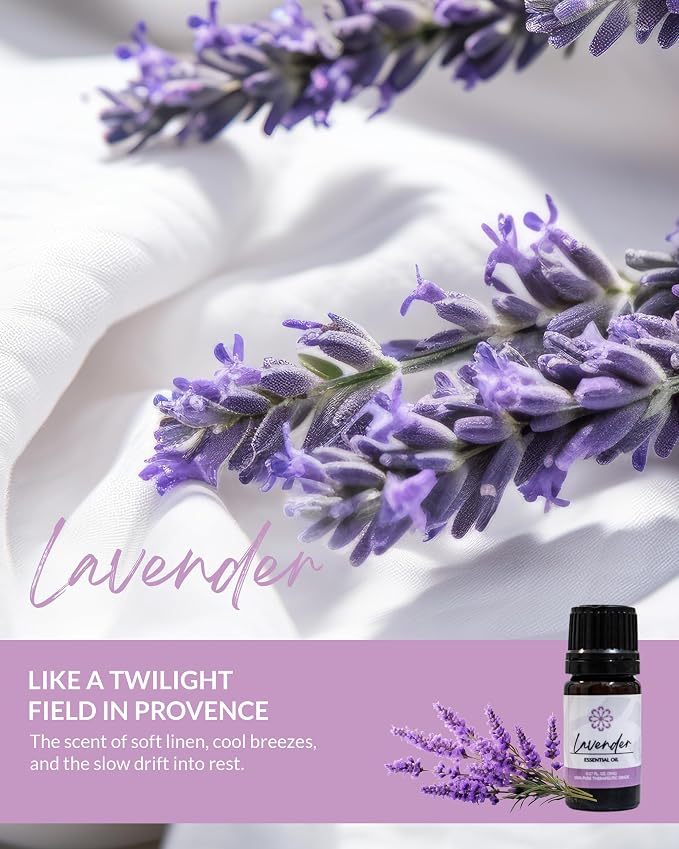 Essence Pearl Travel Case | Lavender Essential Oil | Aromatherapy Nasal Diffuser & Essential Oil Carrying Case | Calming Lavender Oil Scent | Travel-Friendly Kit | Black Pod