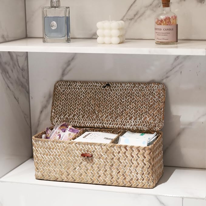 Seagrass Storage Basket with Lid Rectangular Small Woven Shelf Baskets with Sections for Organize Snack Toys Whitewash