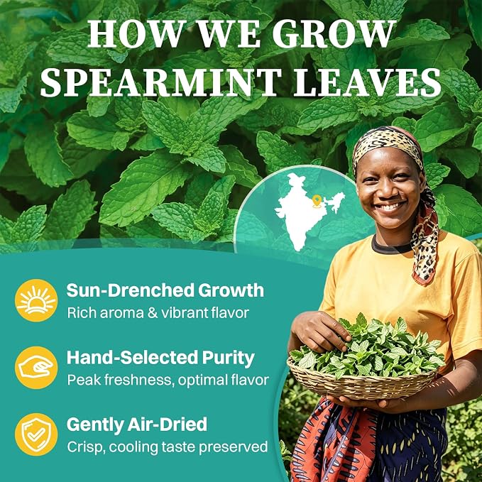 Spearmint Tea (60 Herbal Tea Bags) | Healthy & Refreshing Mint Tea | Supports Digestion & Wellness, Caffeine - Free, Non-GMO