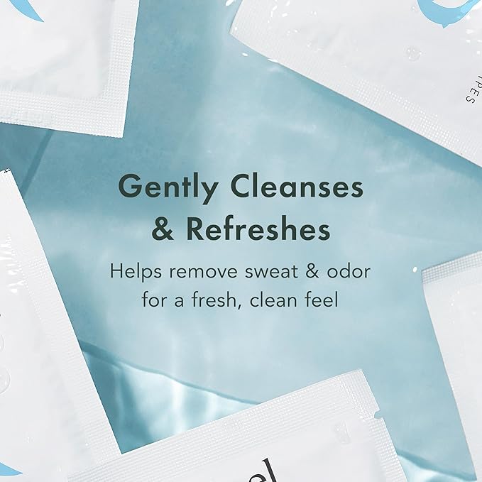 Rael Organic Cotton Wipes - Body Cloth, Individually Wrapped, All Skin Types (10 Count, Pack of 4)