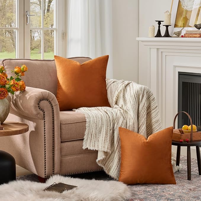 GIGIZAZA Burnt Orange Velvet Throw Pillow Covers 20x20 Pack of 2 | Decorative Pillows for Couch Sofa,280gsm Soft Textured Fabric,Modern Square Pillowcases,Luxury Cushion Covers